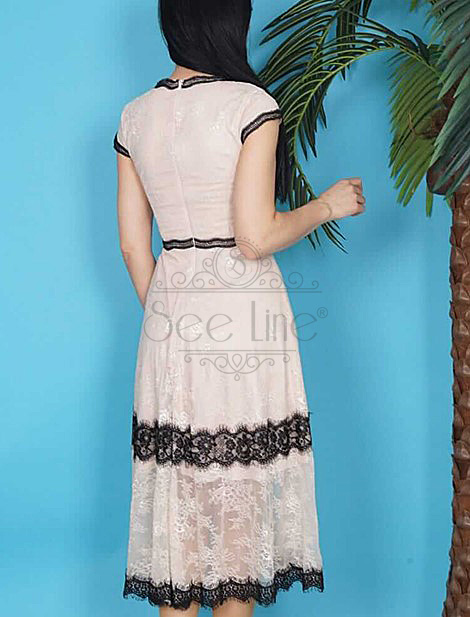 Lace Embroidered French Length Beige Dress