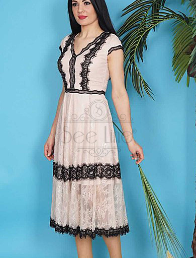 Lace Embroidered French Length Beige Dress